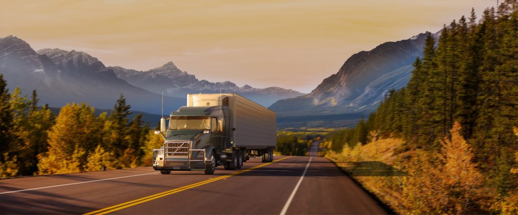 Herd Grille Guards - Protect Your Rig